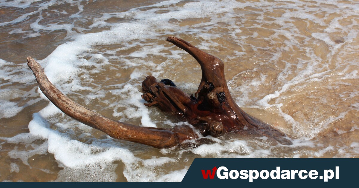 Tam Polacy spędzą długi weekend. Rezerwacja noclegu graniczy z cudem