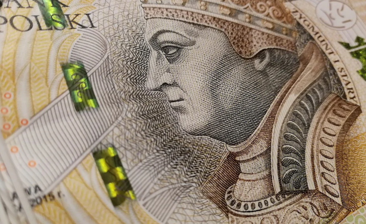Pieniądze - zdjęcie ilustracyjne. / autor: Pixabay