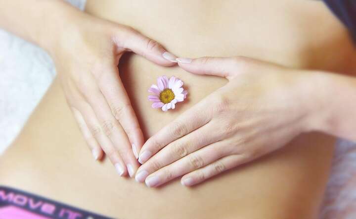 Przewód pokarmowy określa się niekiedy mianem „drugiego mózgu” / autor: Pixabay