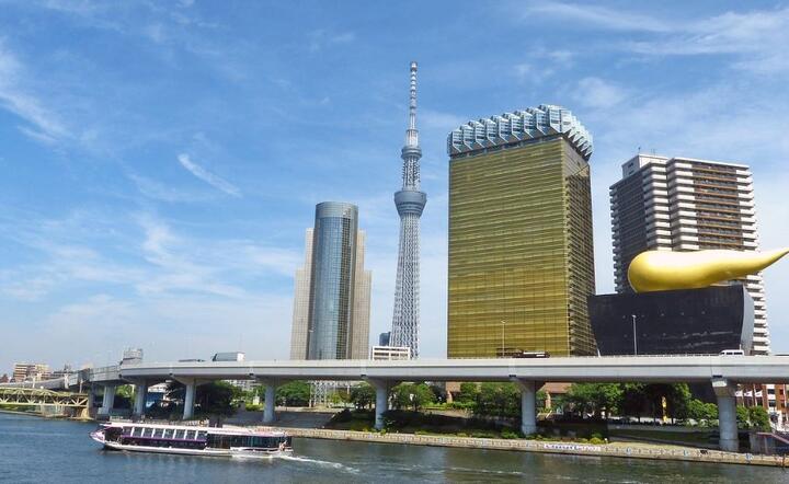 Tokio/Japonia  / autor: Pixabay 