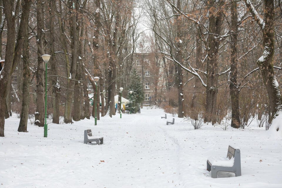 Zimowy dzień w Białymstoku / autor: PAP/Artur Reszko