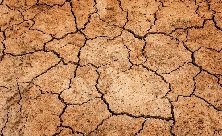 Walka z suszą ma być ostrzejsza / autor: fot. Pixabay