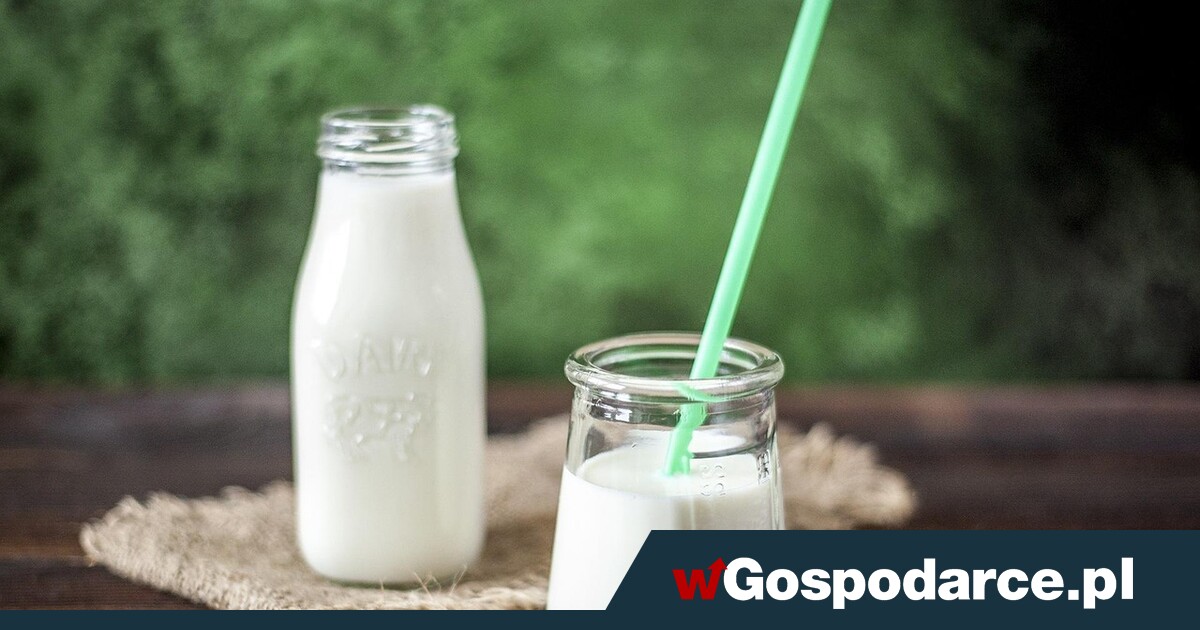 Wybierasz nabiał „light”? To nie zawsze idealne rozwiązanie