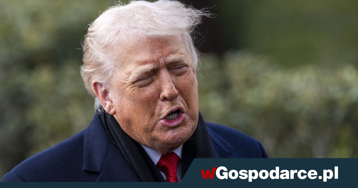 Cła Trumpa na osiem państw Europy?