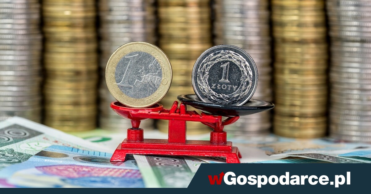 Dlaczego nie należy przyjmować euro?