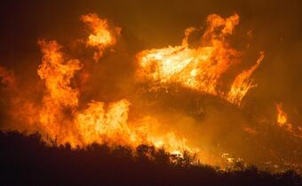 Brazylia nie weźmie pieniędzy na gaszenie pożarów