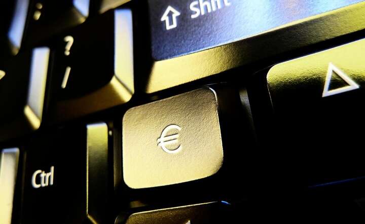 Europejski Bank Centralny wchodzi na ostatnią prostą z cyfrowym euro  / autor: Pixabay