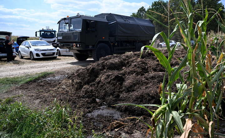  Służby zabezpieczają teren pola kukurydzy w miejscowości Osiny / autor: PAP/Wojtek Jargiło