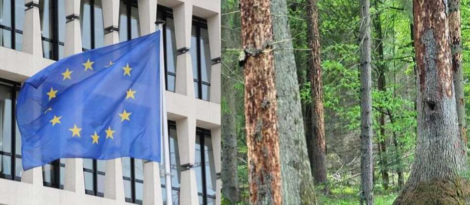 autor: fratria/mos.gov.pl