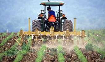 Przed żniwami będzie  pakiet wsparcia polskiej wsi