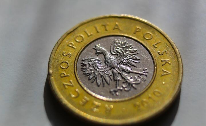 Polska waluta / autor: Pixabay