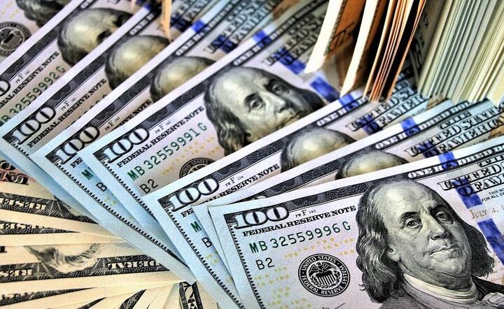 Dolar amerykański  / autor: Pixabay 
