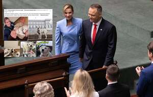 Zaprzysiężenie prezydenta Karola Nawrockiego. Na małym zdjęciu: Yuki w nowym domu / autor: Fratria/FB: Stowarzyszenie Pomocne Łapki - Sztumskie Bezdomniaki