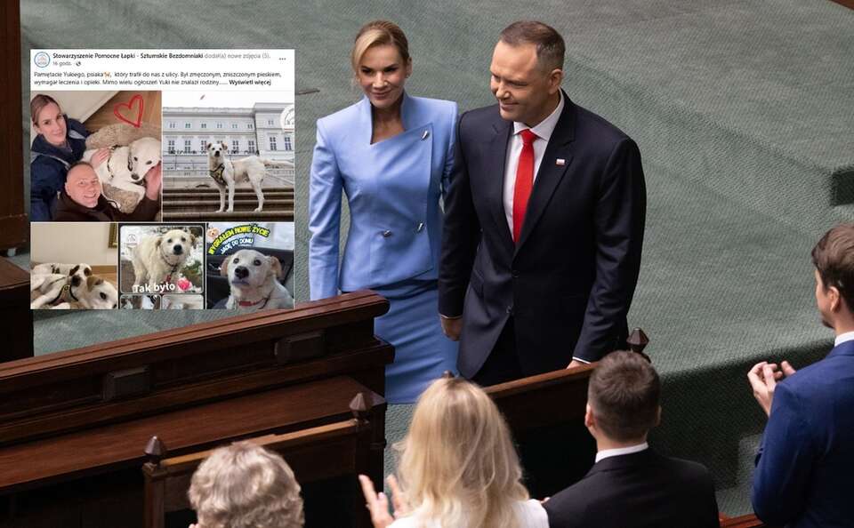 Zaprzysiężenie prezydenta Karola Nawrockiego. Na małym zdjęciu: Yuki w nowym domu / autor: Fratria/FB: Stowarzyszenie Pomocne Łapki - Sztumskie Bezdomniaki