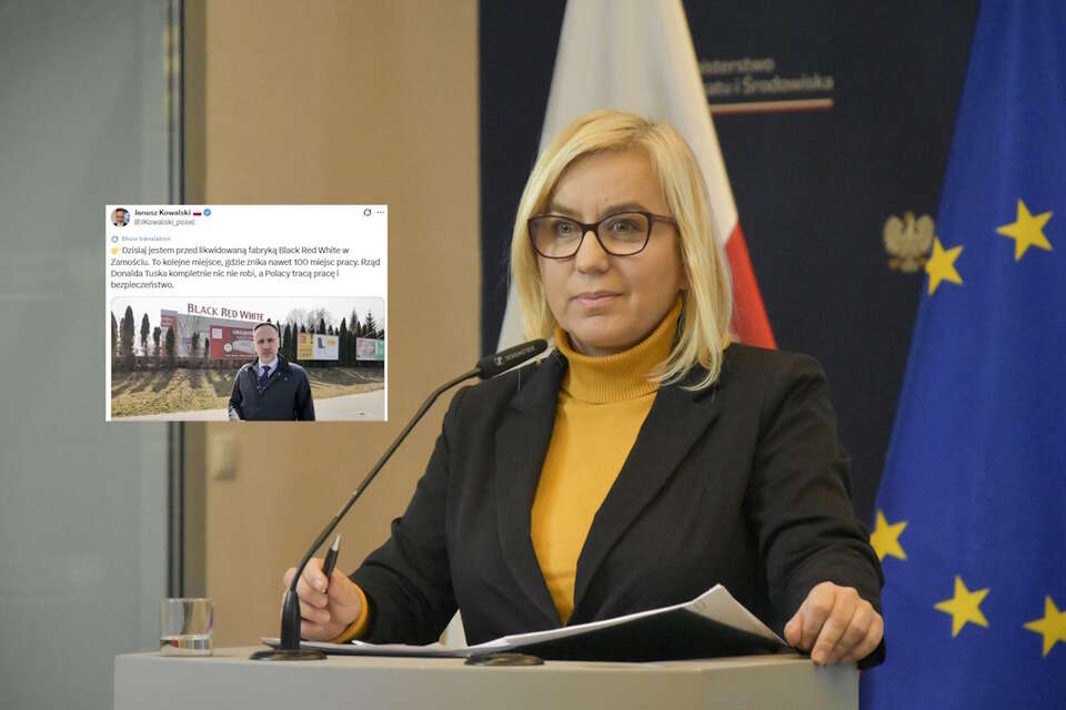 Pracownicy na bruk? "Henning-Kloska rozwaliła cały sektor"