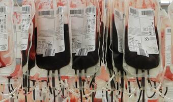 Światowy Dzień Krwiodawcy: krew jest bezcenna