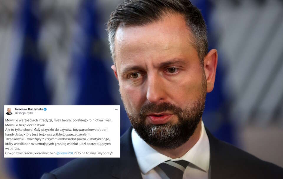 Władysław Kosiniak-Kamysz / autor: PAP/EPA/OLIVIER HOSLE