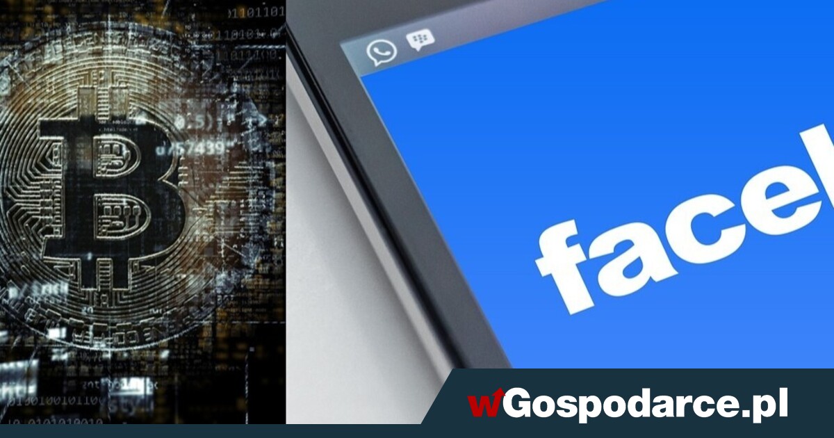 Studenci-hakerzy. Kradli dane i kody BLIK