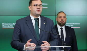 Truchło dzika z ASF podrzucone do zagłębia hodowli trzody