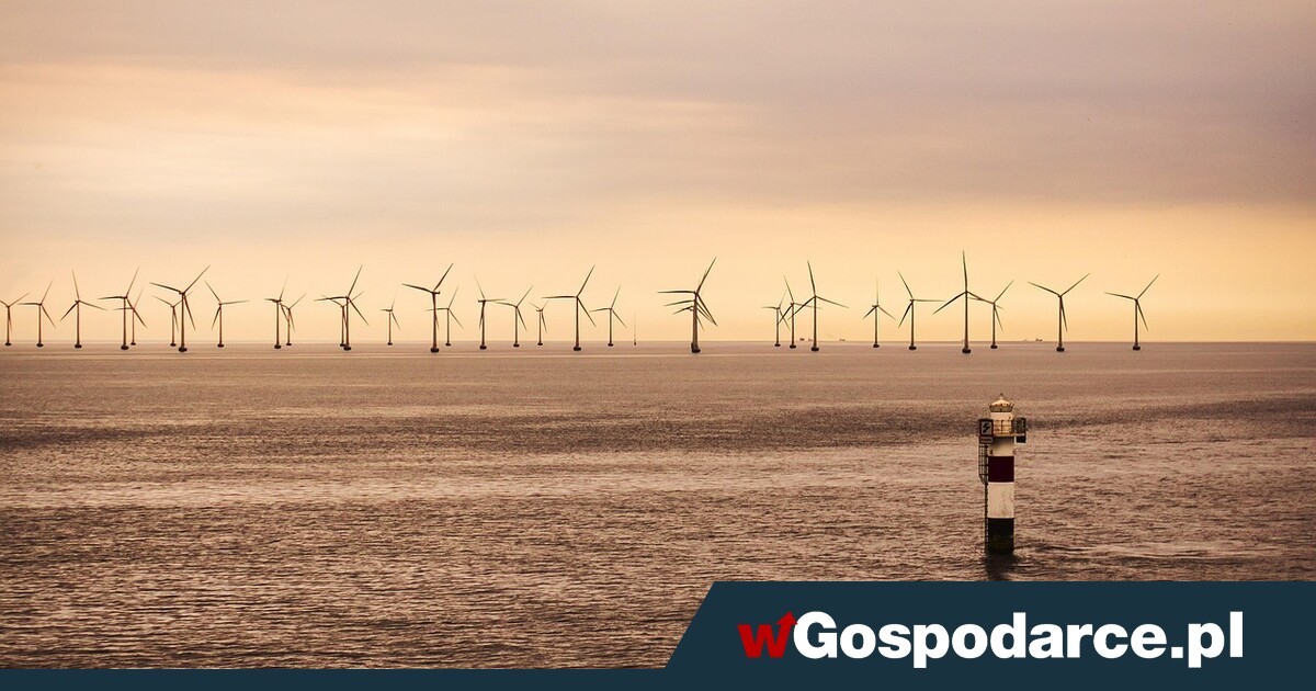 USA mówi Duńczykom „stop”. Nie będzie farmy wiatraków?