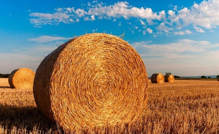 Rolnictwo / autor: Pixabay