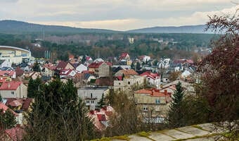 Większość Polaków mieszka w domach, nie w blokach