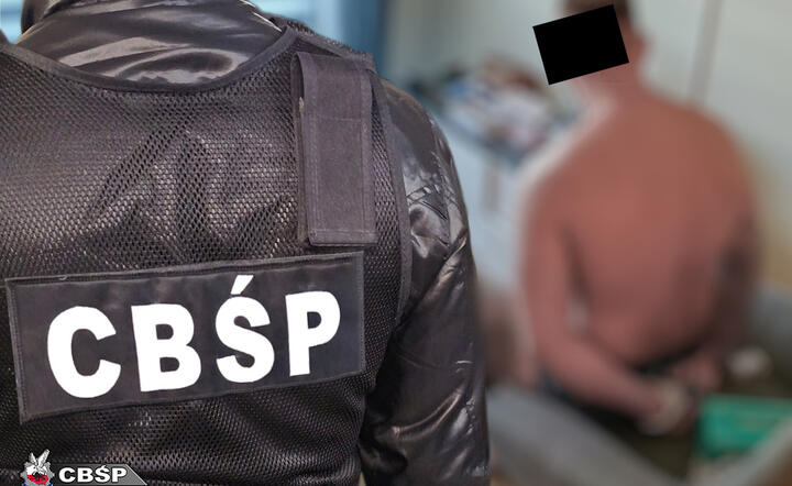 Gang narkotykowy kierowany przez "Ojca" rozbili policjanci CBŚP / autor: CBŚP