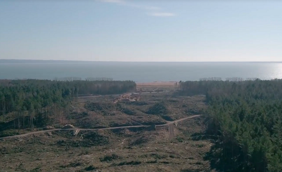 Przygotowania pod przekop Mierzei Wiślanej / autor: Screen/MGMiZS