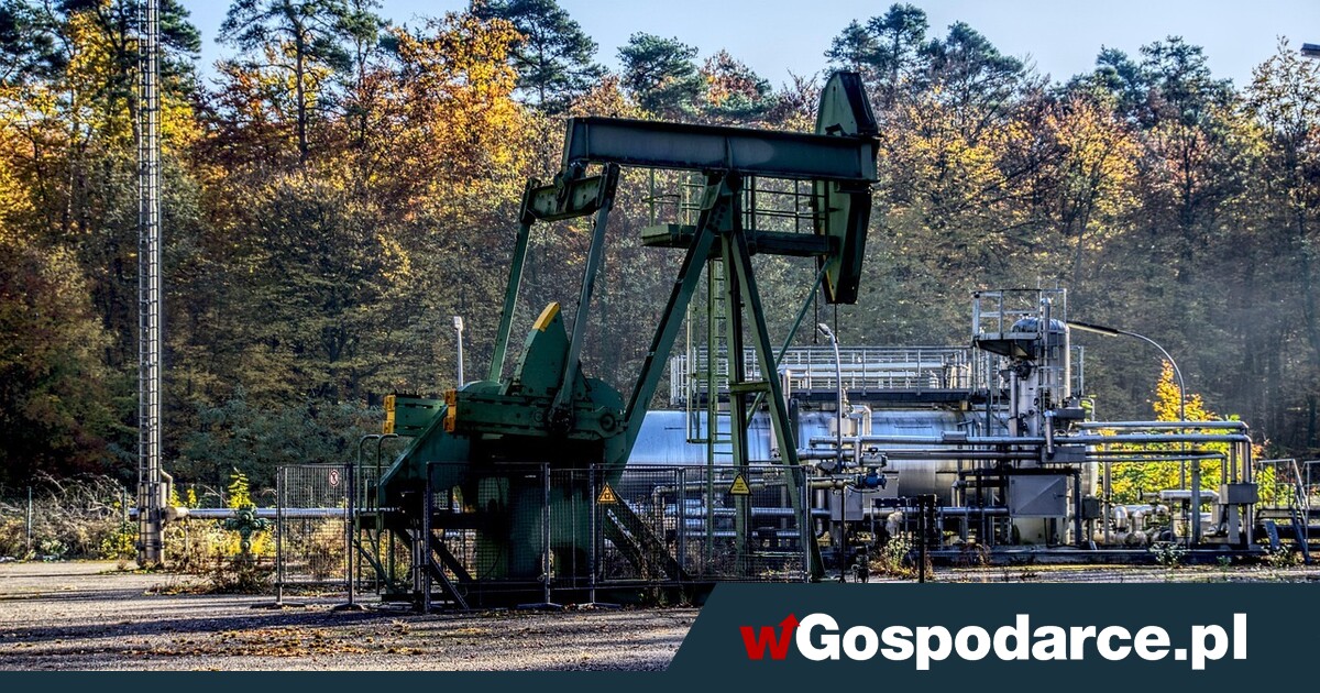 Zwrot na rynku ropy! OPEC straszy