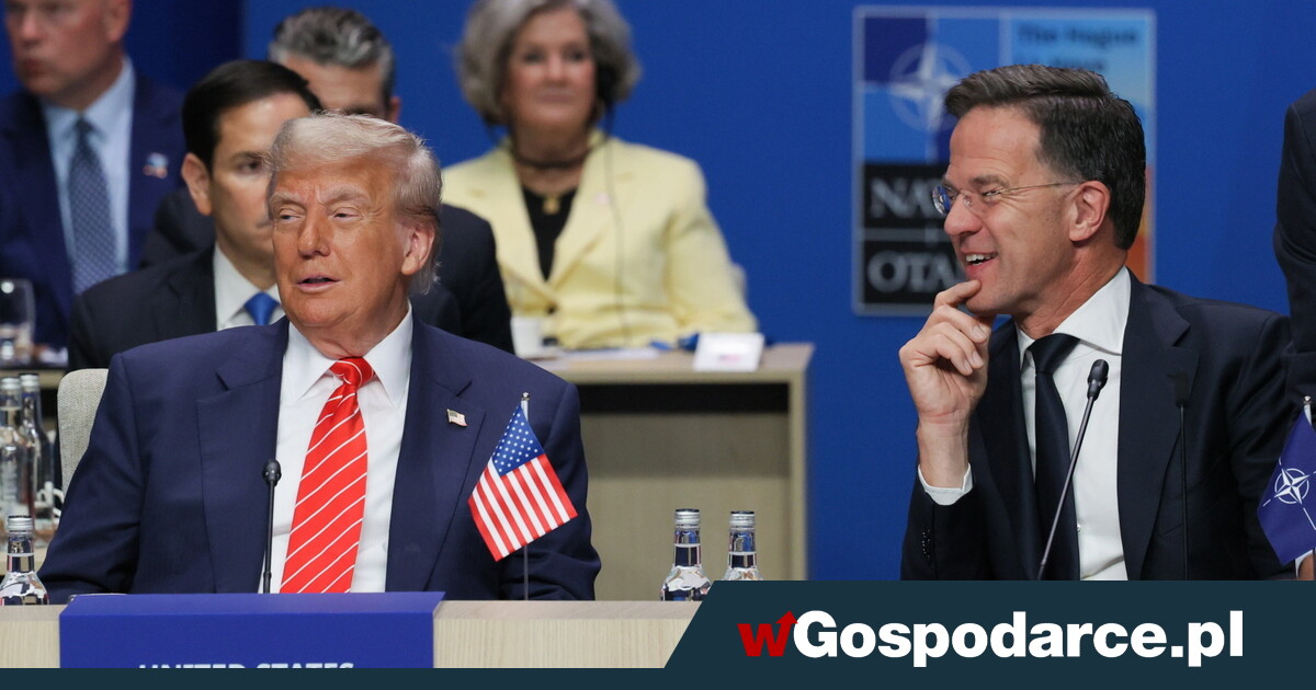 Szczyt NATO: zgoda co do zasad i pieniędzy