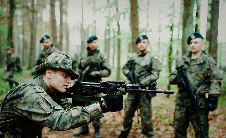 Polscy żołnierze / autor: Fratria