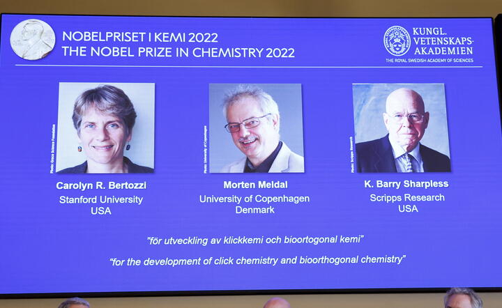 Laureaci tegorocznej Nagrody Nobla z chemii / autor: PAP/EPA