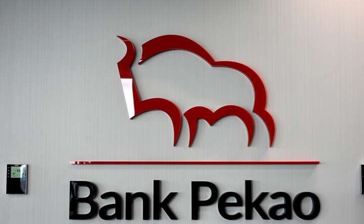 Logo banku / autor: Liudmyla Kazakova/Fratria