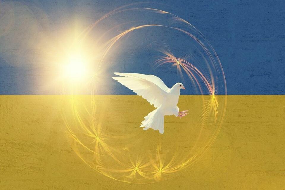 autor: Pixabay