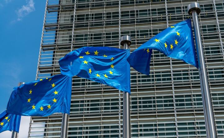 Flagi UE w Brukseli / autor: Fratria