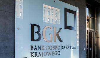 BGK: Trwają prace, by utrzymać instrumenty gwarancyjne z Tarcz Antykryzysowych