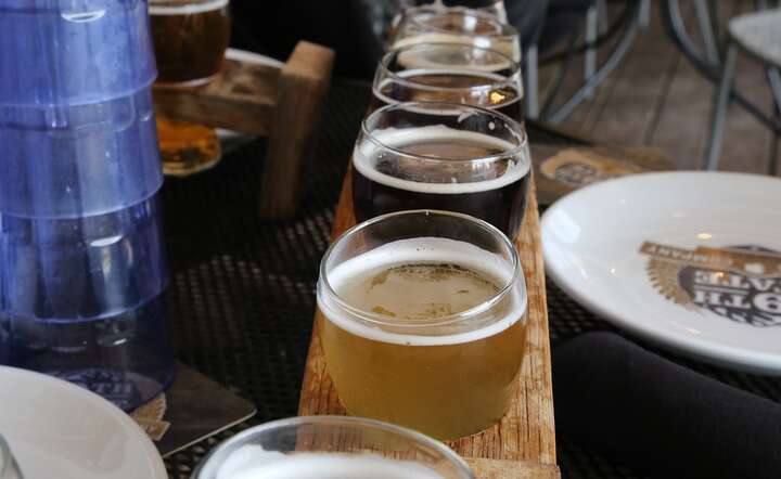 Według planów  piwo będzie można kupić mikrobrowarze / autor: Pixabay
