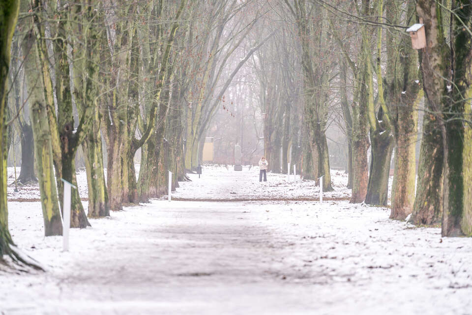 Zima nie powiedziała jeszcze ostatniego słowa. Ostrzeżenie IMGW dla 12 województw! Sprawdź czego można się spodziewać. Na zdjęciu park zimą / autor: Fratria