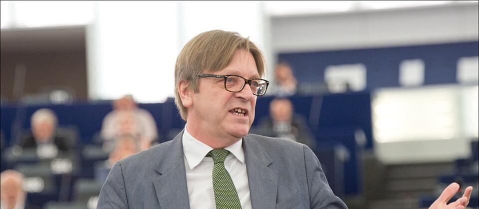 Guy Verhofstadt / autor: Flickr/European Parliament