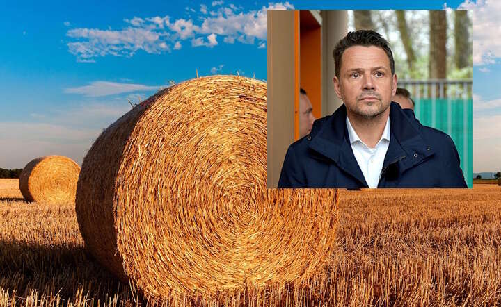Prezydent Warszawy Rafał Trzaskowski / autor: Pixabay/Fratria