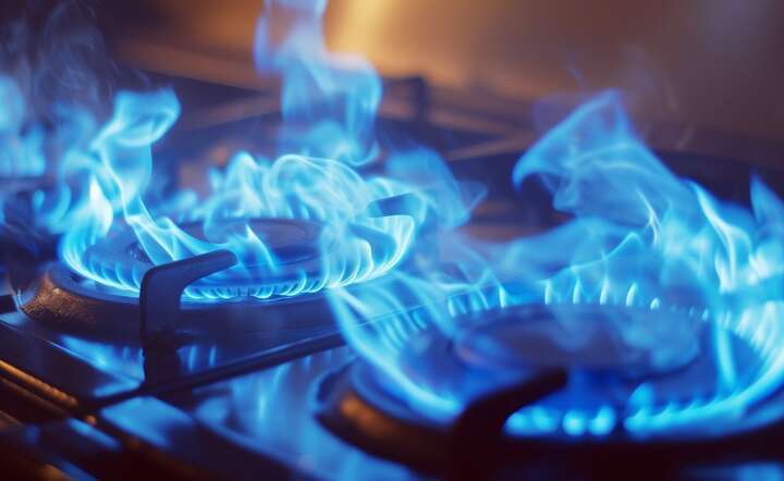 Notowania gazu mocno zwyżkowały na giełdach / autor: Pixabay