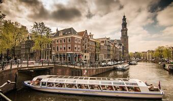 Amsterdam walczy z „plagą szarańczy”