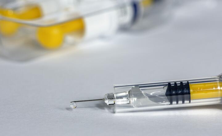 Rosyjscy bogacze mieli przyjąć szczepionkę na koronawirusa już w kwietniu / autor: Pixabay