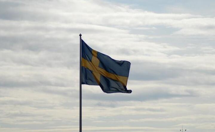 Szwecja powołuje speckomsję do zbadania przebiegu Covid-19 w tym kraju.  / autor: Pixabay