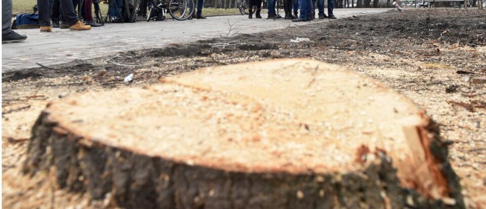 PAP/Radek Pietruszka