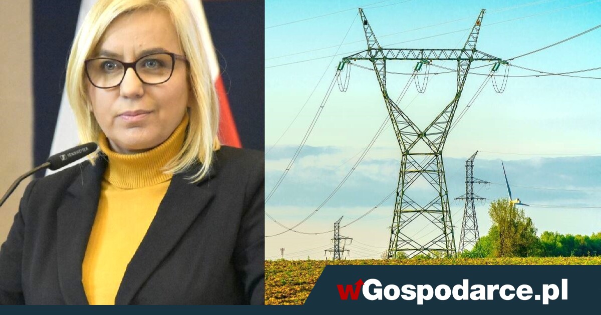 Hennig-Kloska: ceny energii „częściowo mrożone”