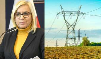 Hennig-Kloska: ceny energii „częściowo mrożone”