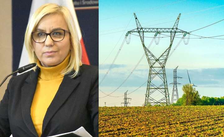 Paulina Hennig-Kloska: w sytuacji stabilizującego się rynku energii, mrożenie cen musi być stopniowo wygaszane / autor: Fratria / LK/ AS