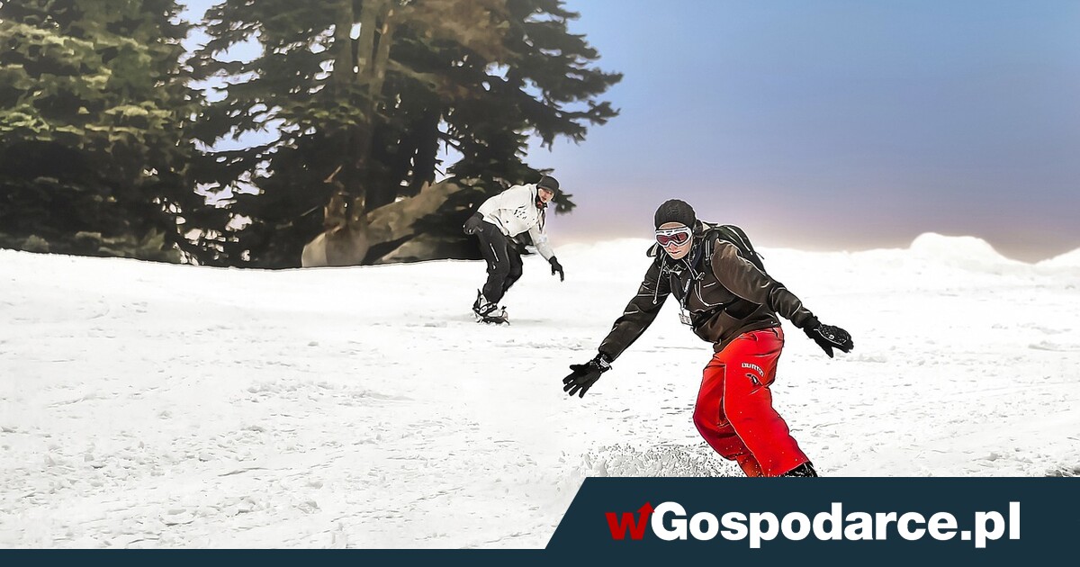 Zimowe ferie bez jednego scenariusza