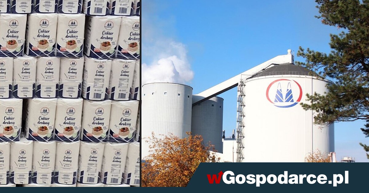 Import z Mercosur zabije krajowe cukrownie